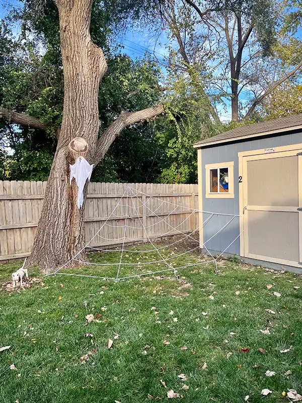 Veterinary clinic yard decorated with a giant spider web and ghost for Halloween in Carol Stream