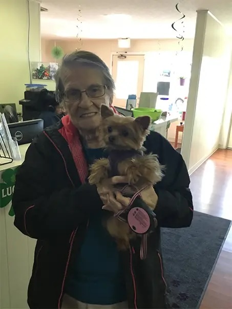 Pet owner smiling while holding a Yorkshire Terrier Noel at the veterinary clinic in Carol Stream