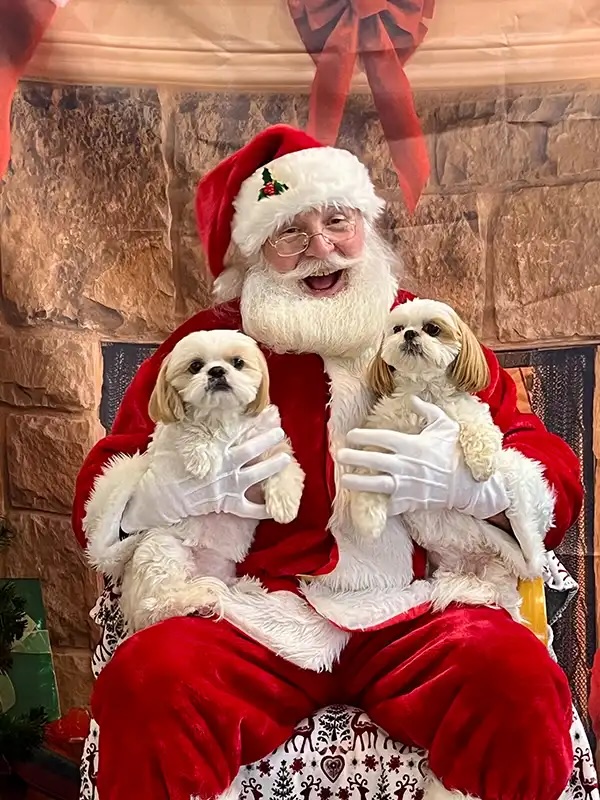 Santa laughing while holding two Shih Tzu dogs at the Santa Paws event in Carol Stream