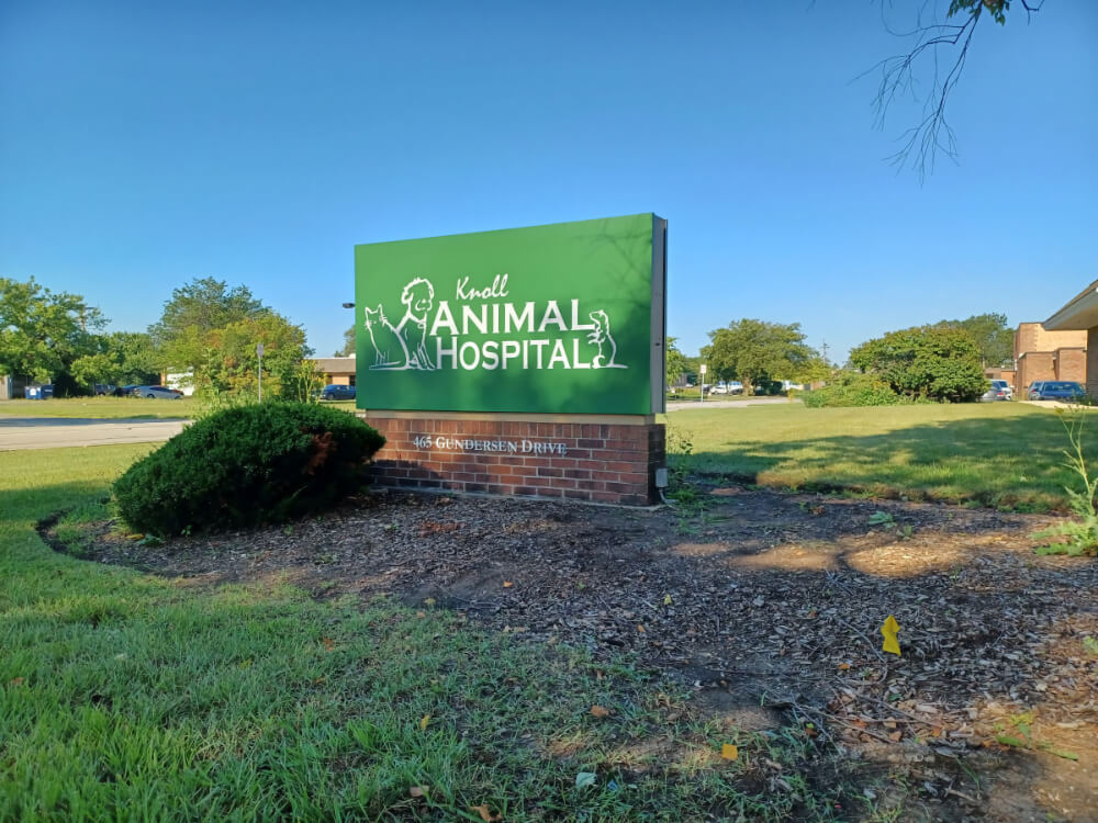 Veterinarian Near Me in Carol Stream