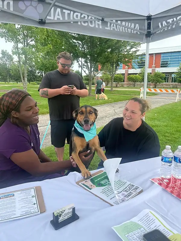 Veterinary staff greeting a dog wearing a bandana at the charity dog show first aid tent in Carol Stream