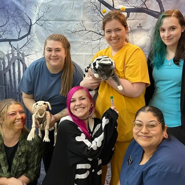 Veterinary team dressed in Halloween costumes celebrating Howl-o-Ween in Carol Stream