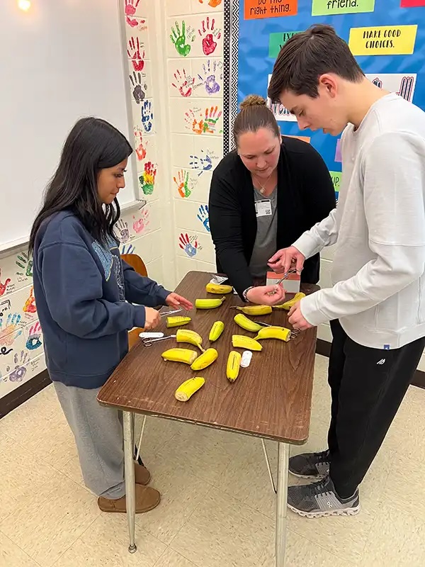 Veterinary technician guiding students through a suture exercise using bananas in a health class in Carol Stream