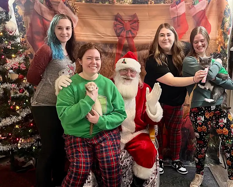 Veterinary staff posing with a ferret, a cat, and Santa at the Santa Paws event in Carol Stream