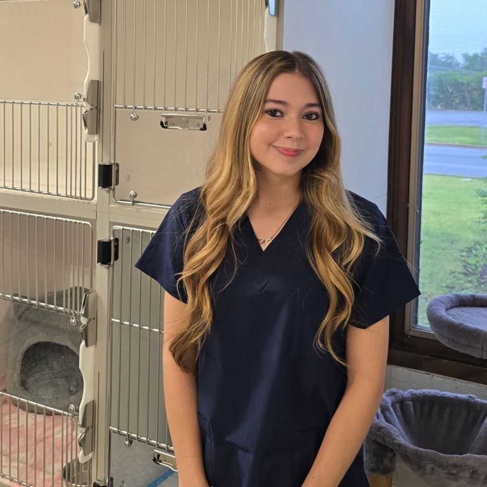 Kayla B - Knoll Animal Hospital