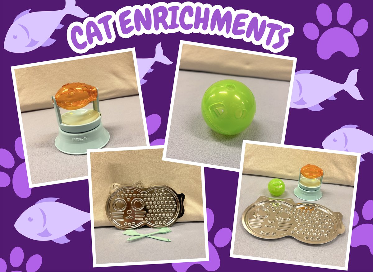 Cat Enrichments Flyer