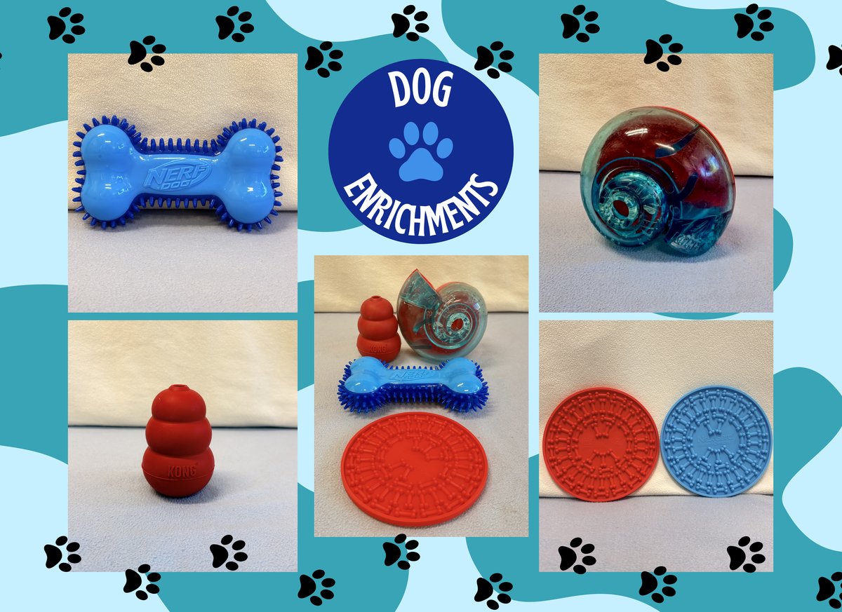 Dog Enrichments Flyer