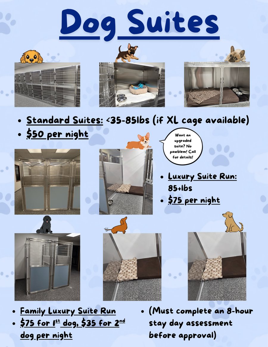 Dog Suites Flyer
