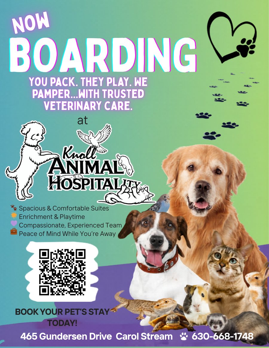 Knoll Boarding Flyer