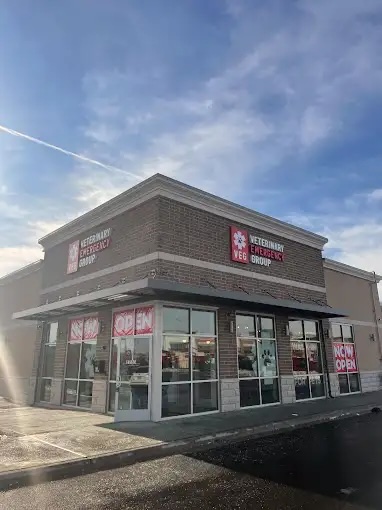 Veterinary Emergency Group (VEG): Oak Brook