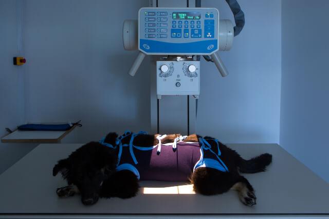 Diagnostics