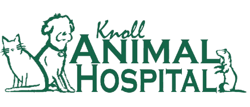 Knoll Animal Hospital